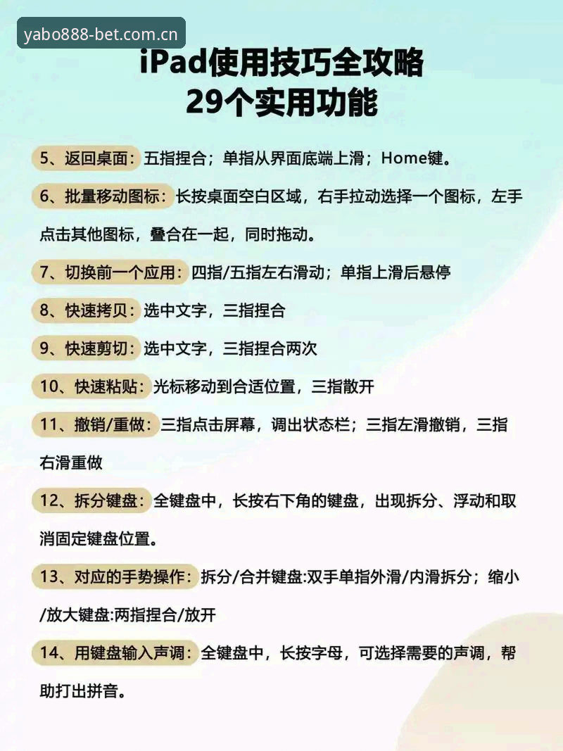 亚博官方网站入口详解：新手必看操作指南与实用技巧